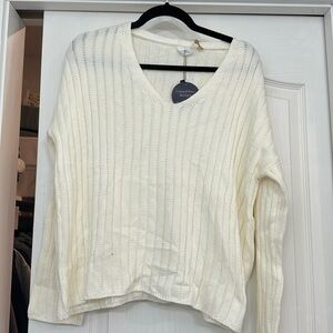 Wishlist vneck sweater